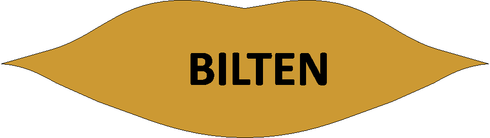 BILTEN